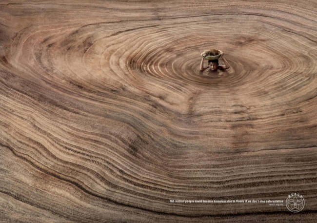 A publicidade que lembra que o desmatamento afeta os seres humanos.