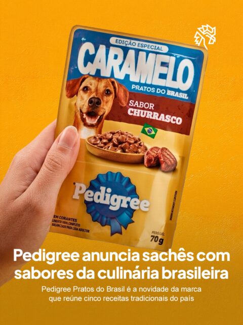 A humanização dos pets no Brasil já não se limita a roupinhas e petiscos gourmet, ela também passou a influenciar o cardápio dos animais. Marcas de alimentação animal exploram a identidade culinária do país para aproximar tutores e cães.

Batizada de Pedigree Pratos do Brasil, a linha chega com cinco sabores inspirados em receitas populares: picadinho, peixada, churrasco, lombinho e galinhada. Voltada para cães adultos, já está disponível em diferentes canais de venda por R$ 2,99.

Essa escolha por pratos típicos aproxima o produto do repertório afetivo de quem cozinha em casa. É uma forma simples de transformar rotina em pertencimento.