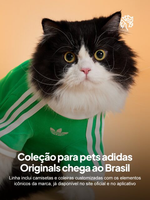 O mercado de pets brasileiro cresce impulsionado por tutores que tratam seus animais como parte da família, estendendo hábitos de consumo, incluindo moda, aos bichos de estimação, cenário que abre espaço para a adidas Originals aplicar elementos consagrados do design da marca.
A coleção reúne camisetas em diversas cores e coleiras sob medida para diferentes portes de cães e gatos, já disponíveis no site oficial e no aplicativo da grife. A extensão mostra como o streetwear expande fronteiras para acompanhar o consumidor em novos contextos do dia a dia.