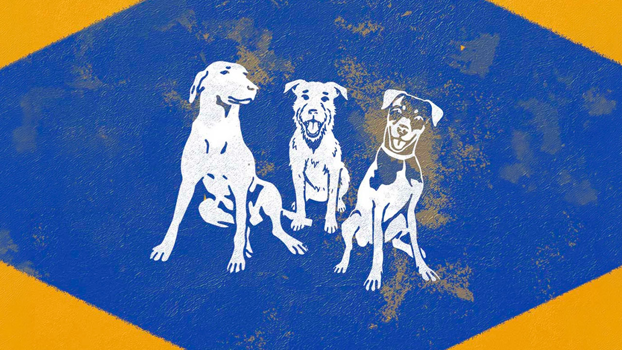 PEDIGREE Lança Campanha Inovadora para Valorizar Cães Vira-Latas e Promover Adoção Consciente