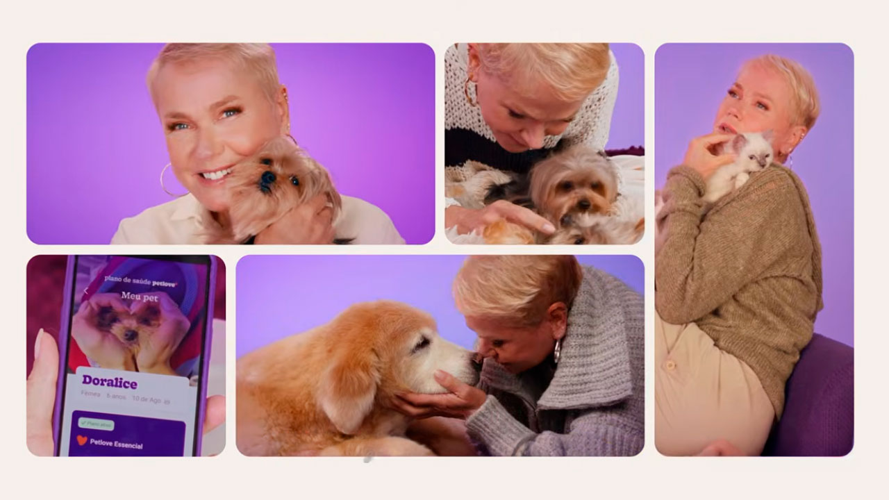 Nave Petlove: Como a parceria com Xuxa está redefinindo o marketing de influência no setor pet